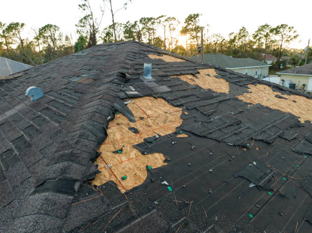 Best Roof Installation  in Honokaa, HI