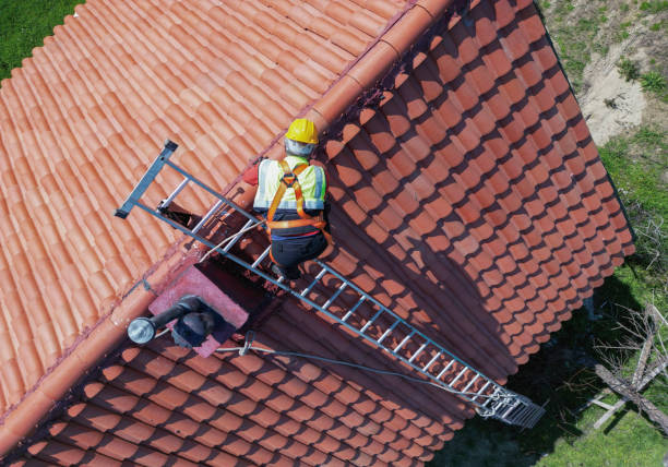 Best Metal Roofing Installation  in Honokaa, HI