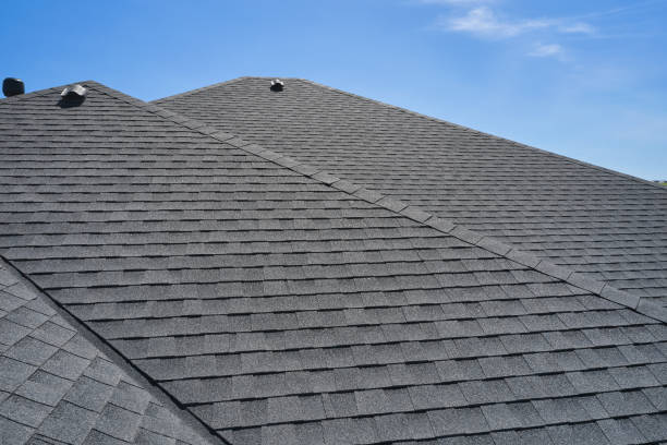 Best Sheet Metal Roofing  in Honokaa, HI